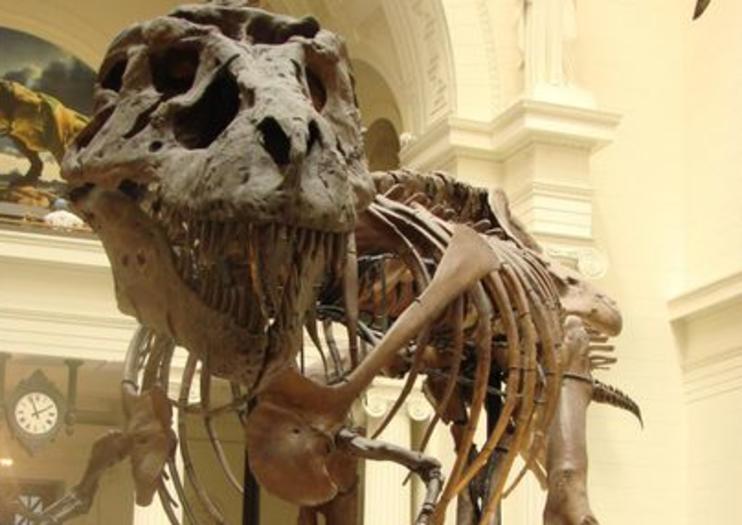 Field Museum